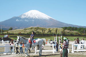 オリンピック馬術強化拠点に認定された御殿場市営馬術スポーツセンター。富士山を望む立地の良さから利用客が口コミで広がる 